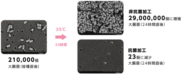 抗菌加工と非加工の細菌増殖イメージ